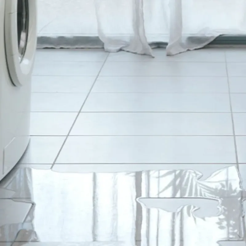 Appliance Leak Cleanup in Anton, TX