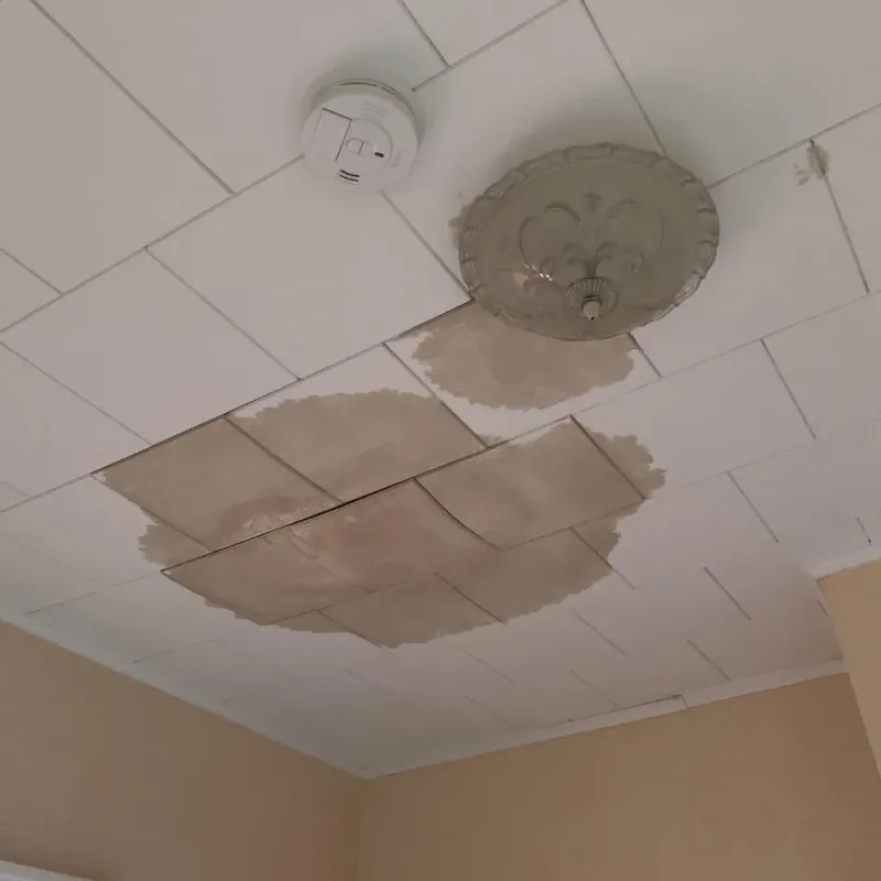 Ceiling Water Damage Repair in Anton, TX