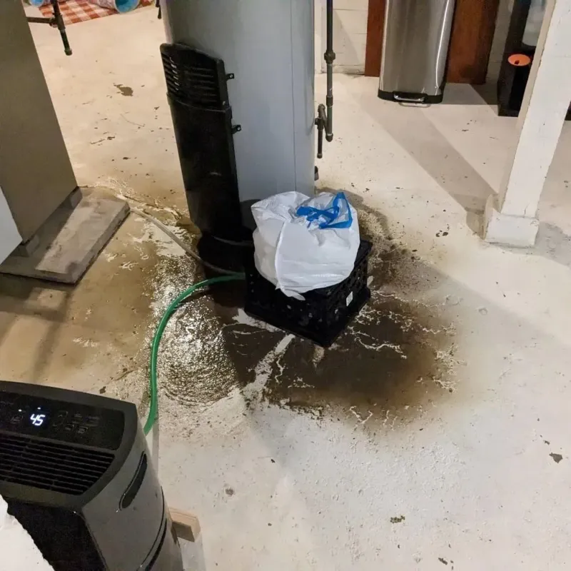 Sewage Backup Cleanup Service in Anton, TX